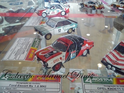 4&ordf; Mostra de Modelismo Est&aacute;tico 2015 (70).jpg