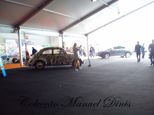 Automob&iacute;lia Aveiro 2016  (351).jpg