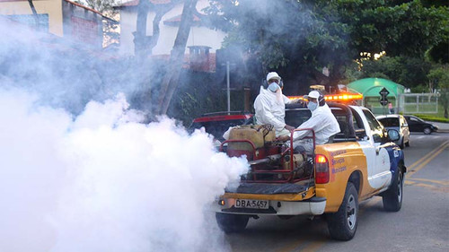 Dengue.jpg