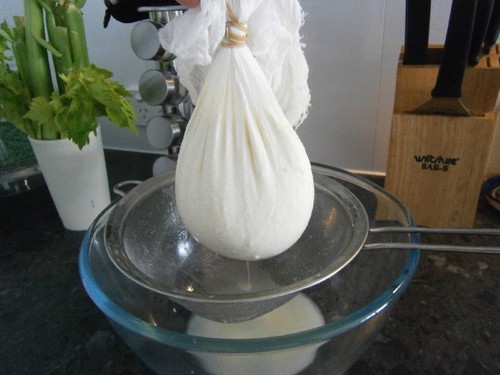 labneh4.JPG labneh4.JPG