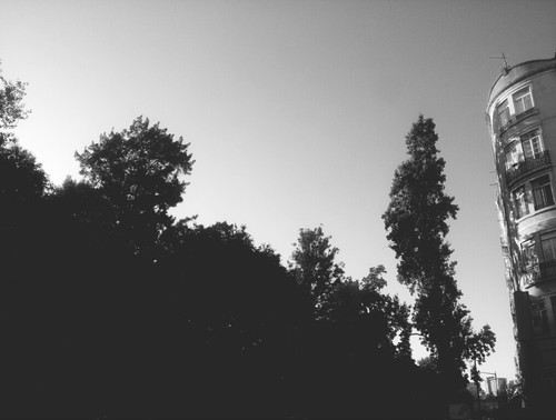 eyeemfiltered1406057998936.jpg