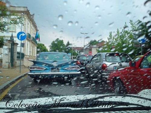 DSC_8556.jpg DSC_8556.jpg