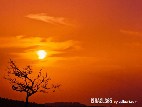 Sol, em Israel.png