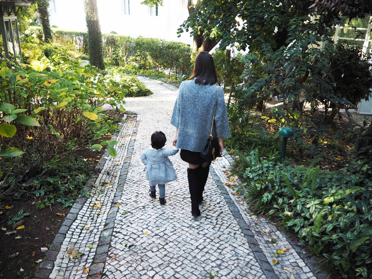 IMG_3451_a.jpg IMG_3451_a.jpg