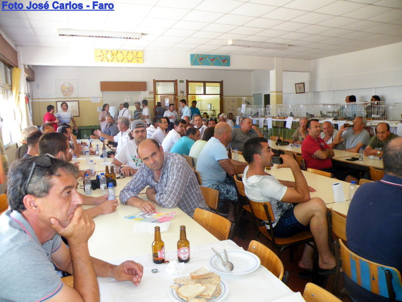 Leilão de Ourique 2016 013.JPG Leilão de Ourique 2016 013.JPG