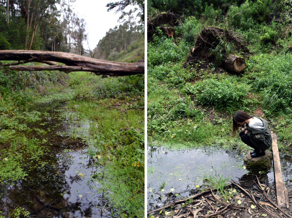 Untitled-1.jpg Untitled-1.jpg