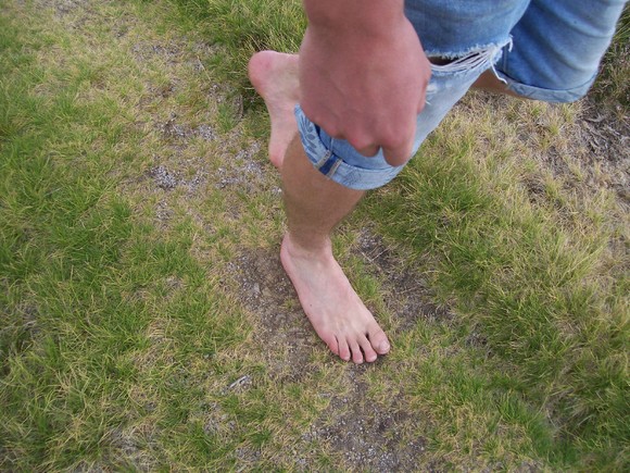 100_2835.JPG